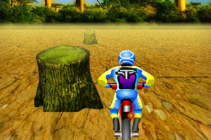 《3D摩托车》游戏画面1