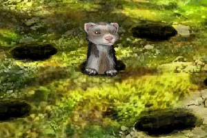 《鼬鼠極限挑戰》游戲畫面1
