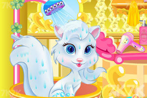 《公主的宠物猫》游戏画面1