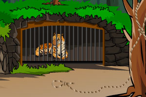 救出被困的老虎