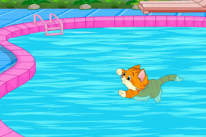 小猫逃脱泳池