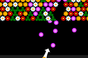 《花朵泡泡龙》游戏画面1