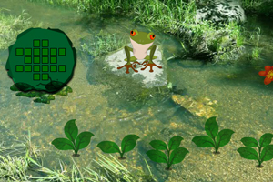 快乐森林救援青蛙