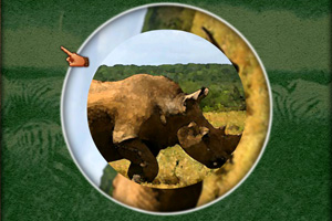 《非洲野生动物》游戏画面1