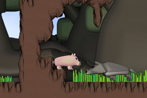 采蘑菇的小猪猪