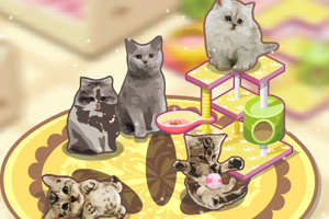 《猫咪小屋》游戏画面1