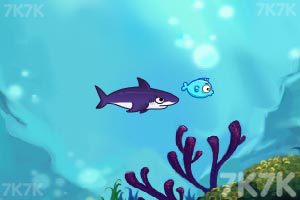 《饥饿的鲨鱼》游戏画面2