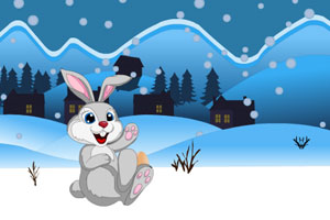 可爱小兔逃出雪地