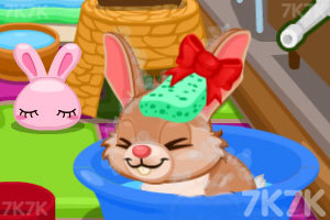《照顾可爱的小兔子》游戏画面3