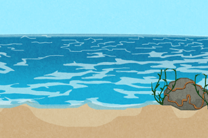 《逃出漂亮海湾》游戏画面1