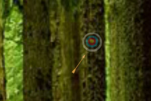《野生森林找靶子》游戏画面1