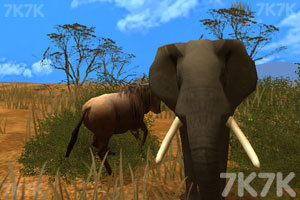《模拟动物人生2》游戏画面2