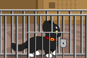 救黑猫逃出笼子