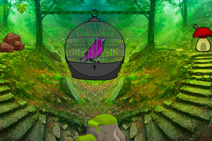 《森林救鸟逃脱》游戏画面1
