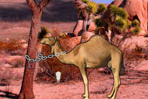 《逃离阿拉伯沙漠》游戏画面1