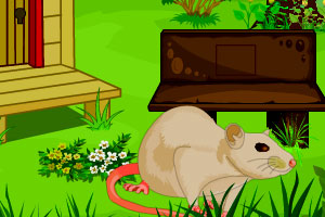 《可爱老鼠逃脱》游戏画面1