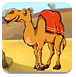 救援沙漠骆驼