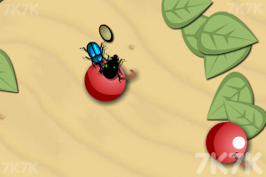 《昆虫演化》游戏画面4
