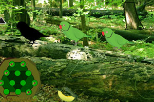 《演化森林逃脱》游戏画面1