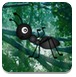 巨型蚂蚁森林逃跑