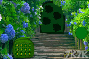 《绿森林蜥蜴逃脱》游戏画面3
