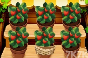 《米亚的草莓园》游戏画面2
